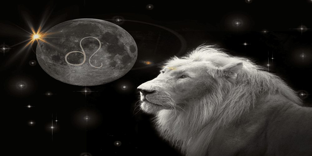 Every day Nadi Horoscope 13 Admirable 2026: Leo Moon Experiences